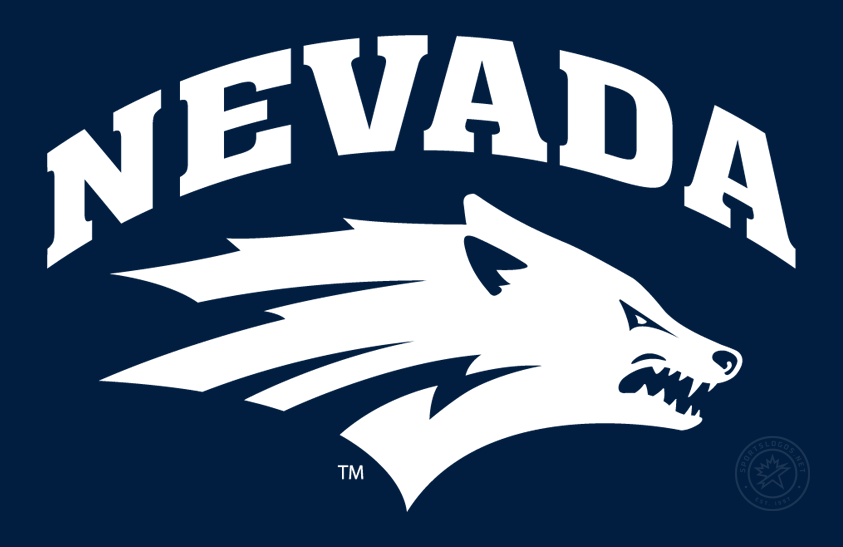 Nevada Wolf Pack 2008-Pres Primary Dark Logo diy DTF decal sticker